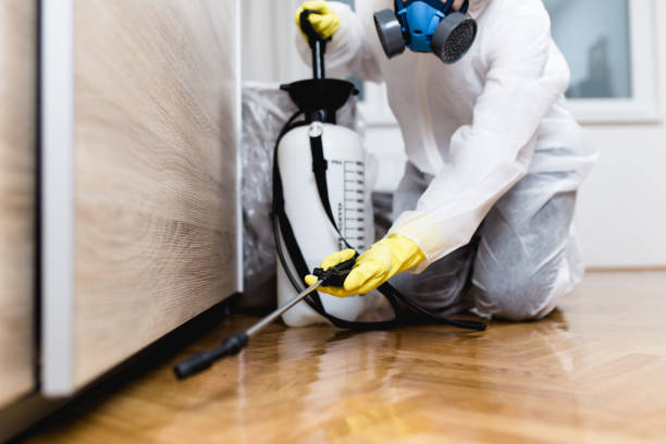 Reliable Oxford, IN Pest Control Solutions