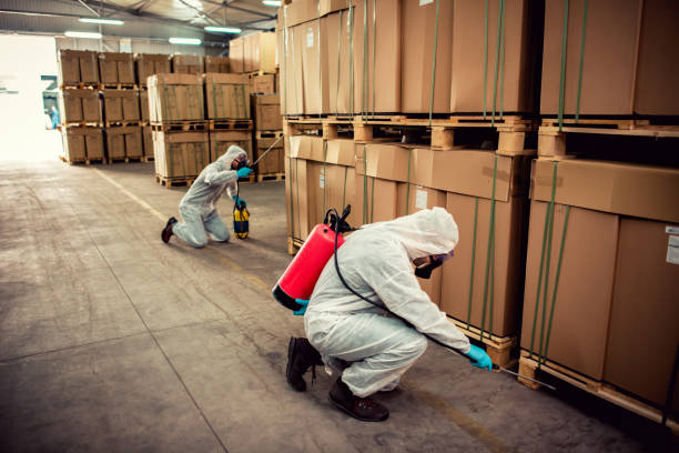 Best Pest Removal Services  in Oxford, IN