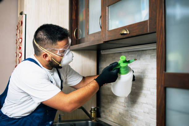 Best Emergency Pest Control  in Oxford, IN