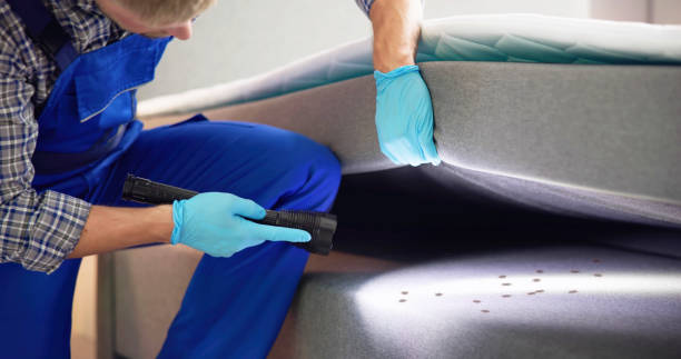 Best Wasp Removal Services  in Oxford, IN