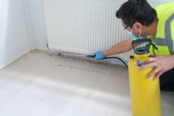 Best Rat Extermination Near Me  in Oxford, IN