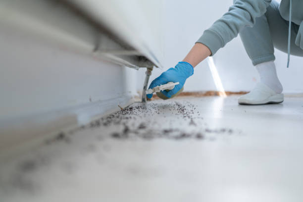 Best Cockroach Control Services  in Oxford, IN