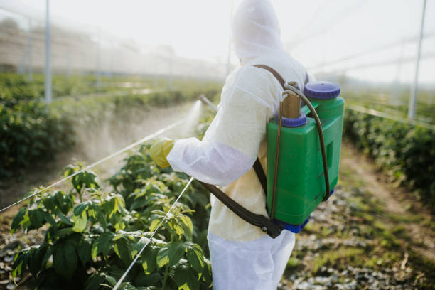 Best Cockroach Control Services  in Oxford, IN